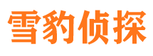 文圣市侦探调查公司